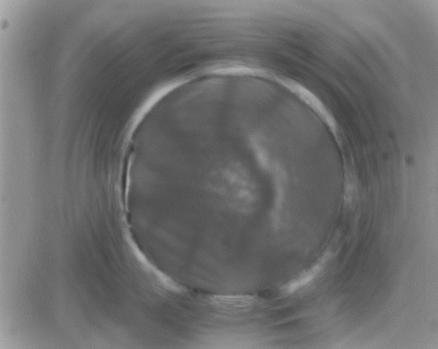 X0000081390863200701252102