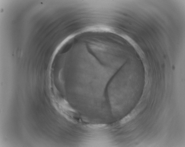 X0000081390864200701252103