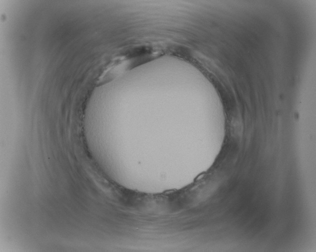 X0000081390865200701252102