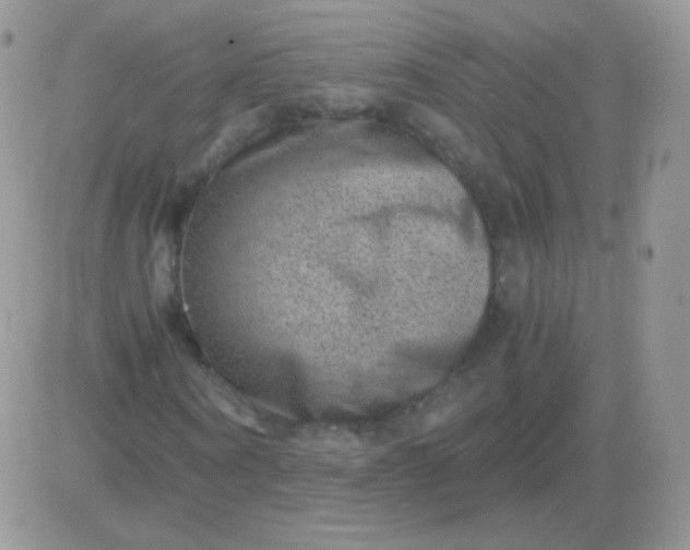 X0000081390866200701252102