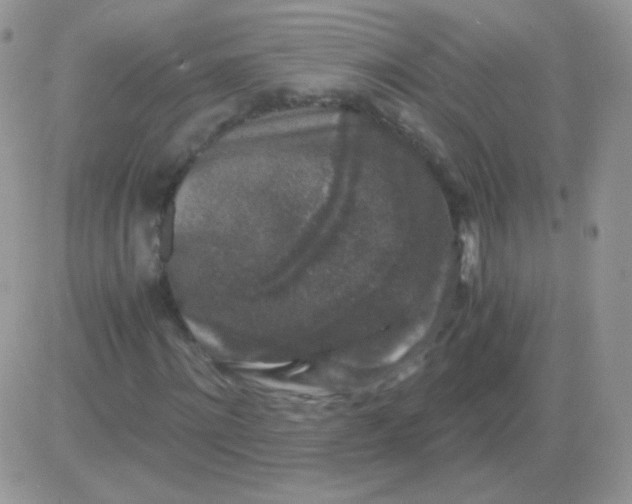 X0000081390868200701252102