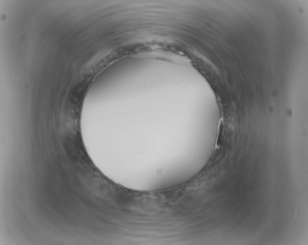 X0000081390869200701252102