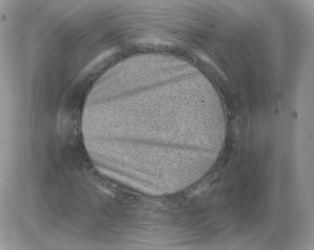 X0000081390870200701252102