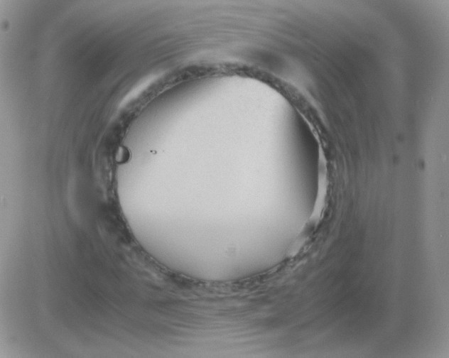 X0000081390871200701252102