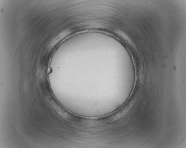 X0000081390873200701252102