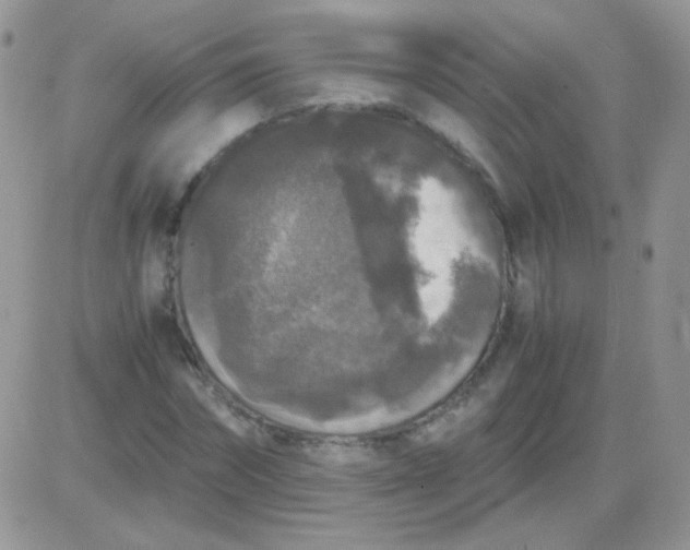 X0000081390874200701252102