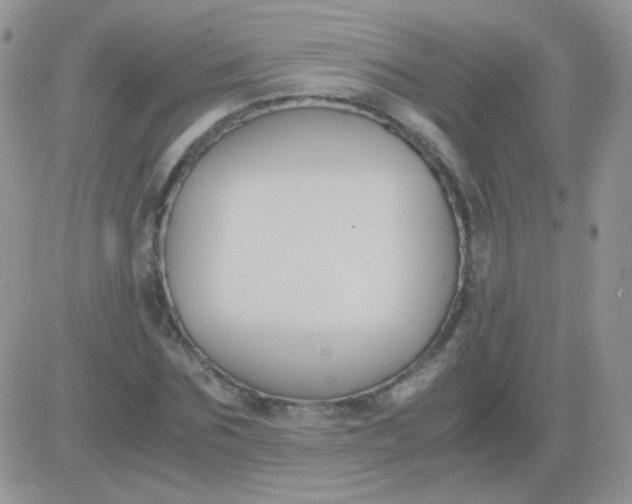 X0000081390875200701252102