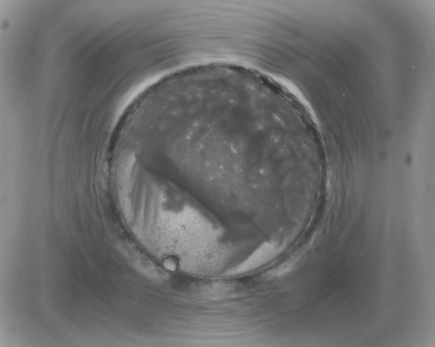 X0000081390879200701252101