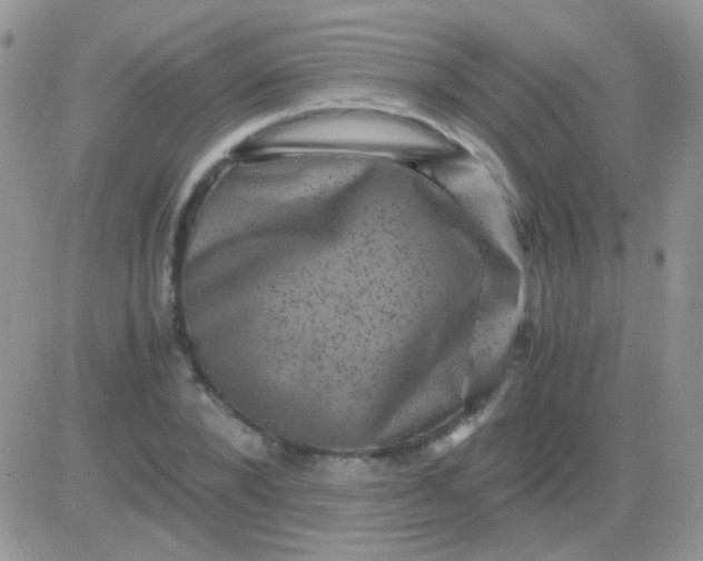 X0000081390880200701252101