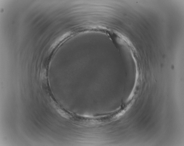 X0000081390881200701252101