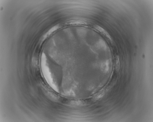 X0000081390882200701252101