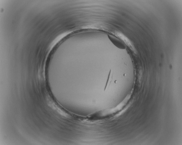 X0000081390884200701252101