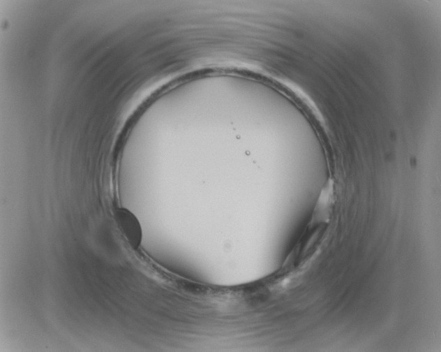 X0000081390887200701252101