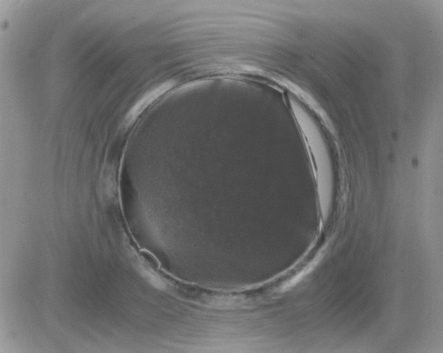 X0000081390889200701252101