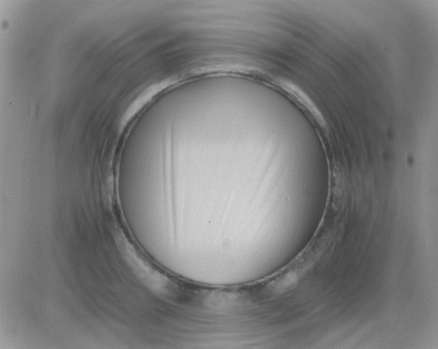 X0000081390890200701252101