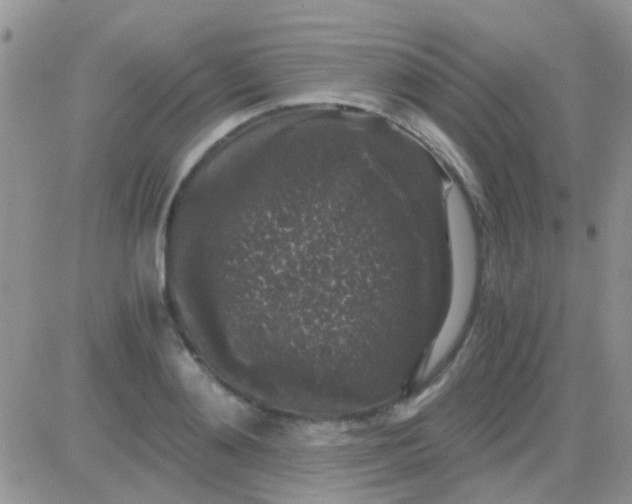 X0000081390892200701252101