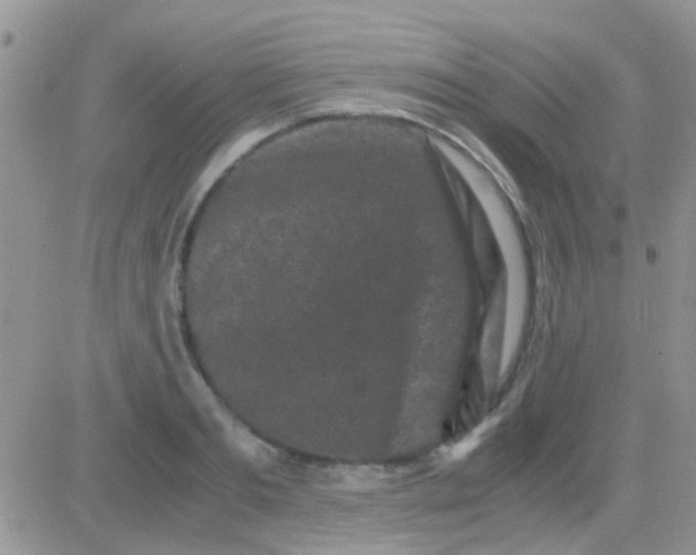 X0000081390893200701252101