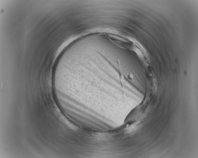 X0000081390894200701252101