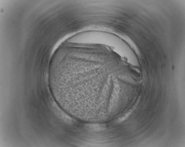 X0000081390896200701252101