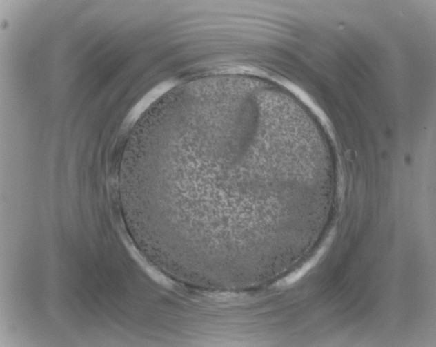 X0000081390897200701252101