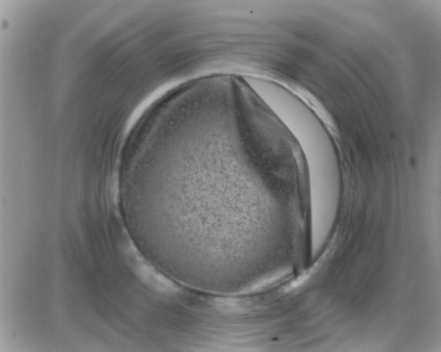 X0000081390904200701252101