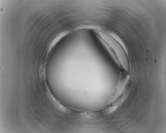 X0000081390906200701252101