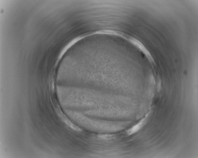 X0000081390908200701252101