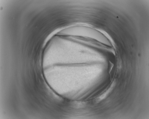 X0000081390910200701252101