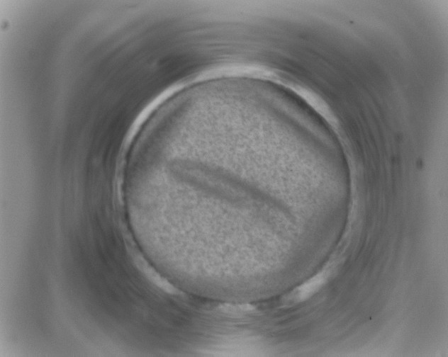 X0000081390912200701252101