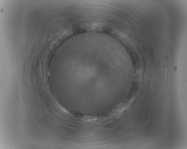 X0000081390913200701252100