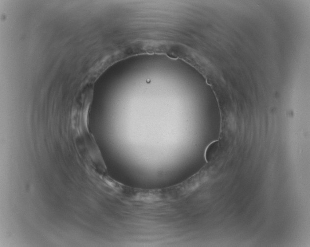 X0000081390914200701252100