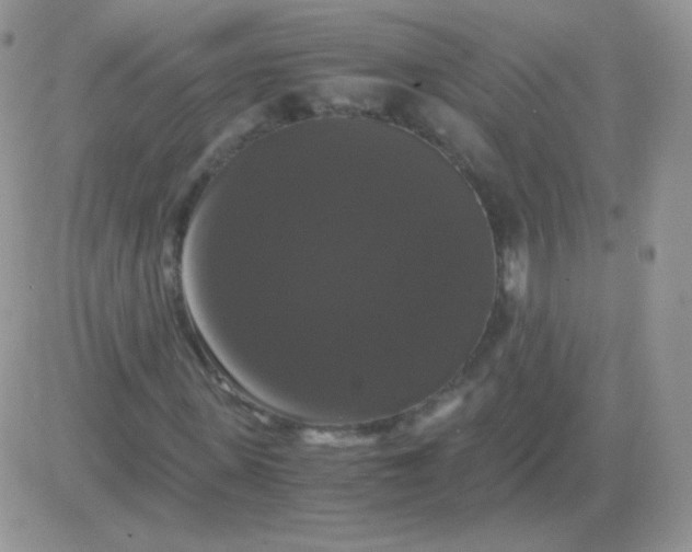 X0000081390915200701252100