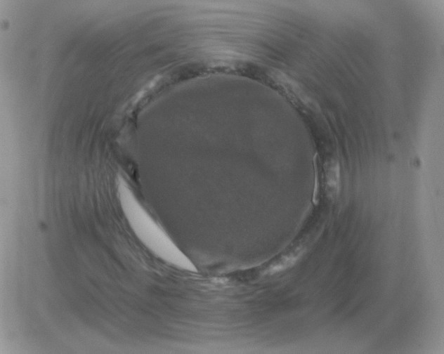 X0000081390916200701252100