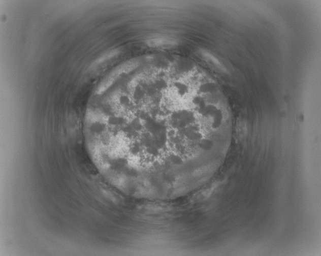 X0000081390917200701252100