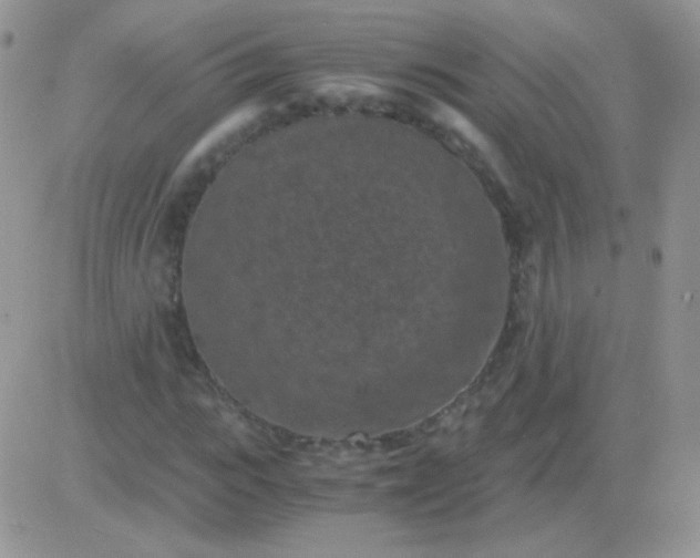 X0000081390919200701252100