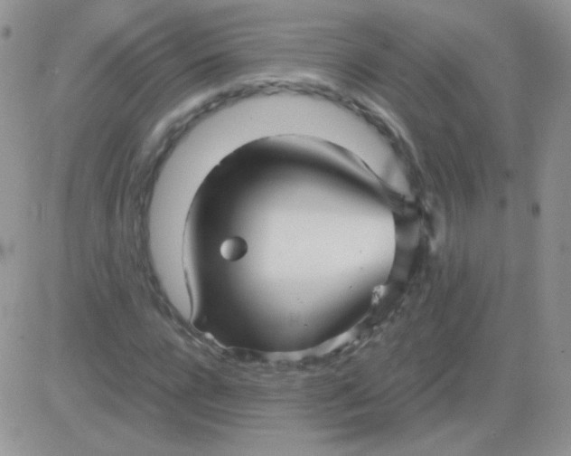 X0000081390920200701252100