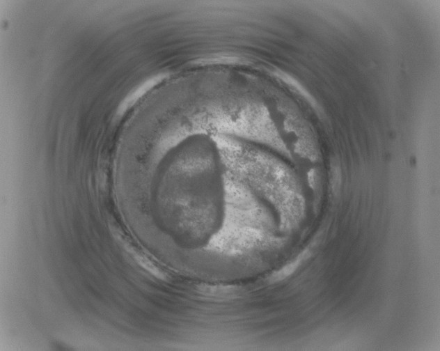 X0000081390921200701252100