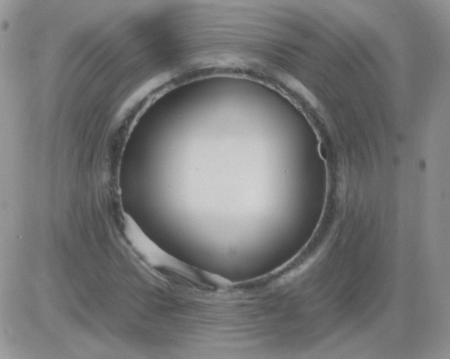 X0000081390922200701252100