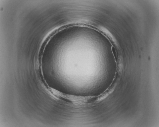 X0000081390924200701252100