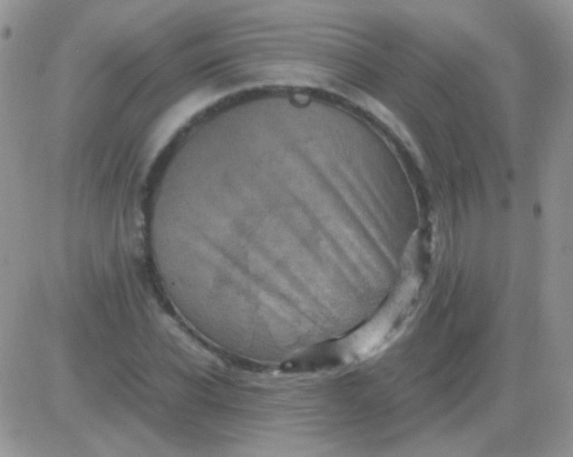 X0000081390926200701252100