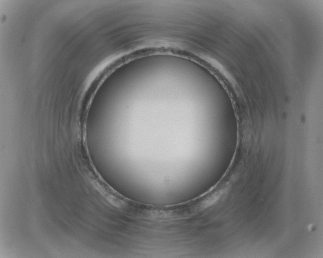 X0000081390927200701252100