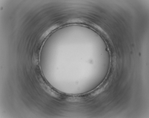 X0000081390929200701252100