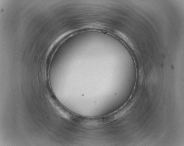 X0000081390931200701252100