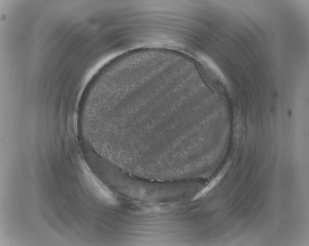 X0000081390932200701252100