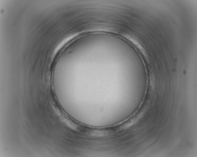 X0000081390933200701252100