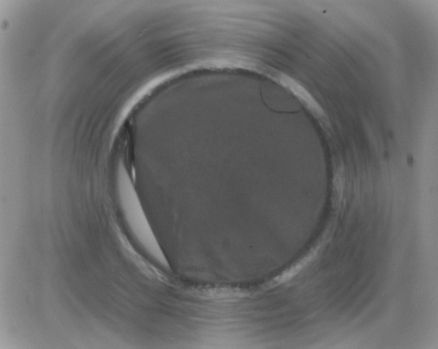 X0000081390934200701252100