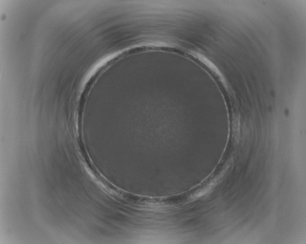 X0000081390935200701252100