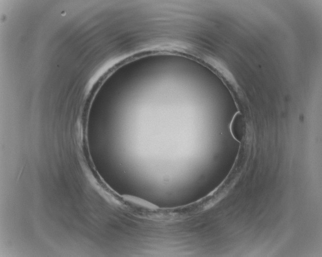 X0000081390936200701252101