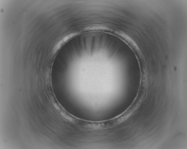 X0000081390937200701252101