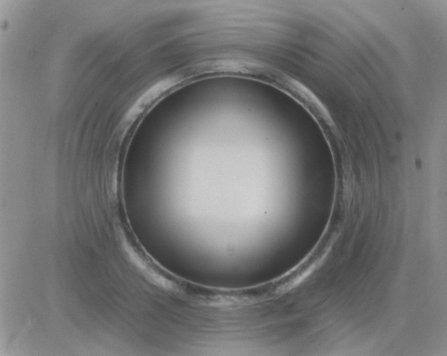 X0000081390938200701252101